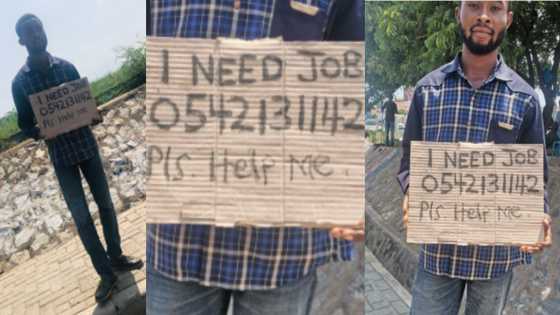 Unemployed young man confidently holds placard by roadside seeking a job in Accra