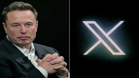 Musk's misleading election posts viewed 1.2 billion times: study