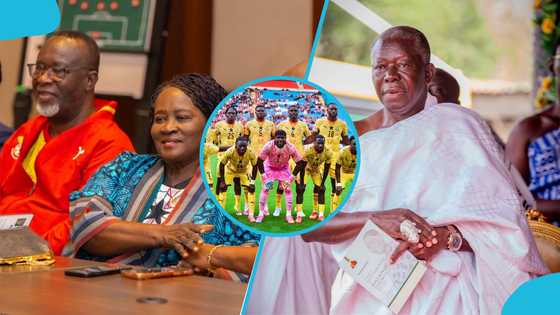 Ghana vs Panama: All the local VIPs attending the Black Stars' 2026 FIFA World Cup opener