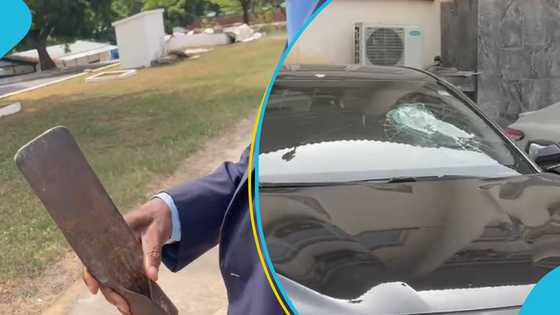Man arrested for smashing windscreens of parked vehicles in Parliament