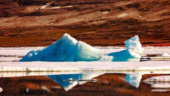 Arctic warming four times faster than rest of Earth: study