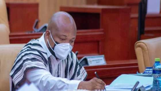 Akufo-Addo rented private jet for $14,000/hour since July - Okudzeto Ablakwa
