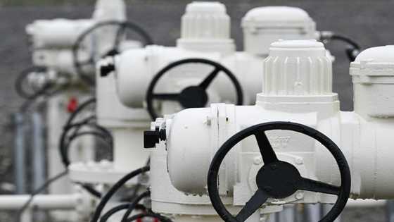 European gas pipe dreams become reality in eastern France