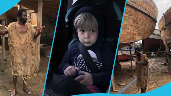 US boy shares Christmas flood vision, boosting global focus on Ebo Noah's prophecy amid ark construction