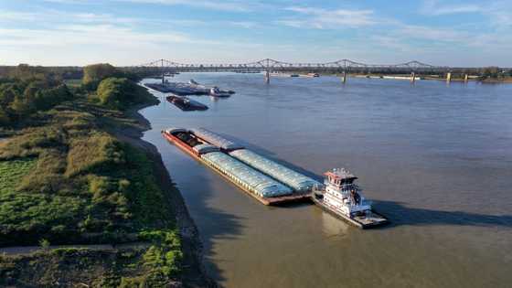 Low water level on Mississippi River hurts US grain shipping