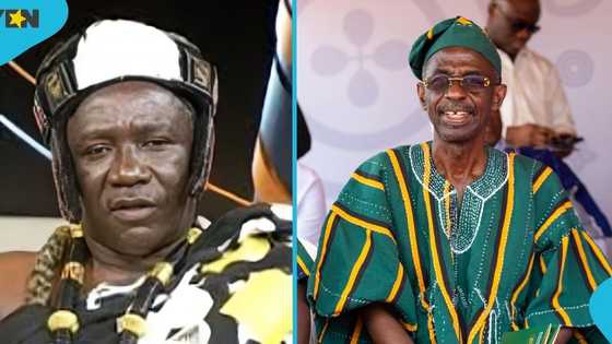 Krontihene of Akyem Asuom advises Asiedu Nketiah to shelve presidential ambition