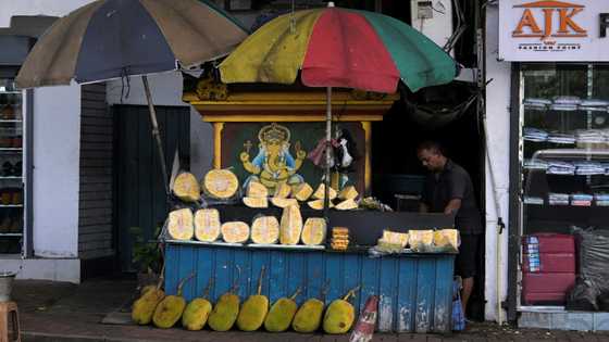 IMF resumes Sri Lanka bailout after China's debt deal
