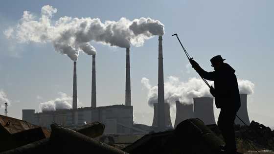 New coal capacity hit 20-year low in 2024: report
