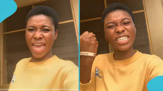 WASSCE 2025: Student decries tough exams, questions if free tuition at university is to blame, video