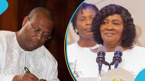 Alex Segbefia to serve as Chief of Staff to Naana Jane Opoku-Agyemang