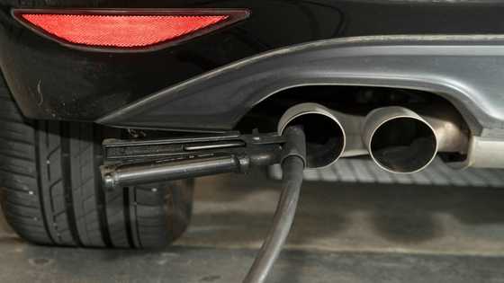 EU should scrap ban on new combustion-engine sales: Merz