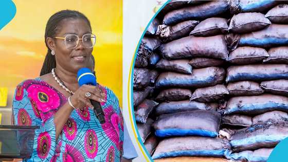 “My mother sold charcoal”: Ursula Owusu preaches importance of free SHS ahead of election