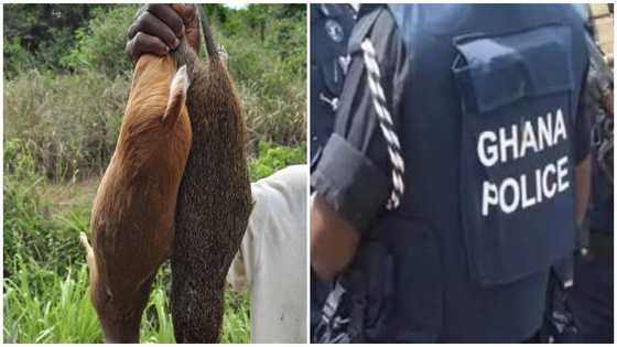Police accused of 'robbing' farmers of their bush meat