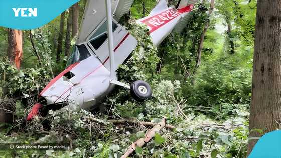 Three die in private plane crash in Maryland woods, details emerge