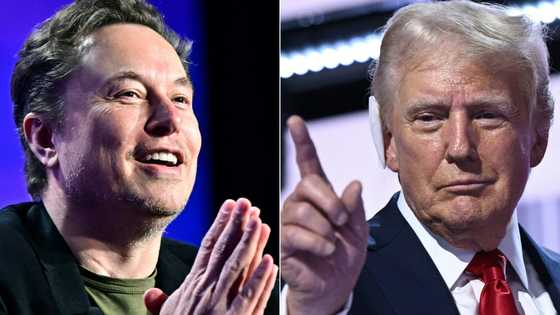 'Misinformation megaphone': Musk stokes tension before US election