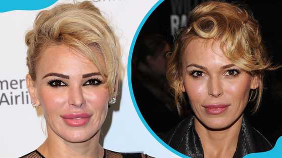 RHOBH star Diana Jenkins' net worth & how she built her fortune through entrepreneurship