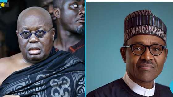 Akufo-Addo pays tribute to late Nigerian President Muhammadu Buhari: "Fare thee well my friend"