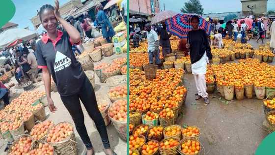Nigerian lady celebrates making her first GH₵10K in her tomato business: "I started as a youth corper"