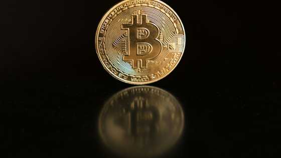 Trump's bitcoin reserve a 'digital Fort Knox'