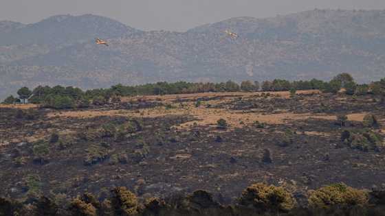 Neglected forests at the mercy of wildfires in Spain, Portugal