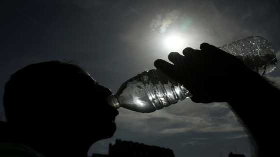 'They're everywhere': microplastics in oceans, air and human body