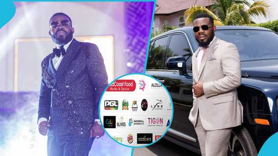 Lynx Entertainment and 29 other businesses that Bills Credit CEO has invested in