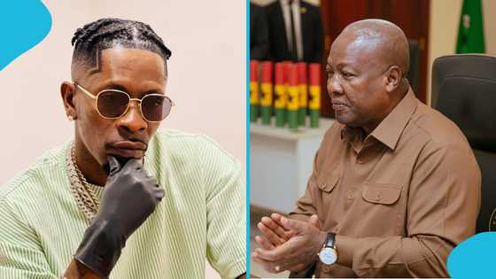 Shatta Wale Appeals To John Dramani Mahama: "Sign 4 Artistes To Rep Ghana"