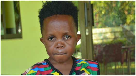Don Little and Shatta Bandle rival for TikToker Sheedon's affection
