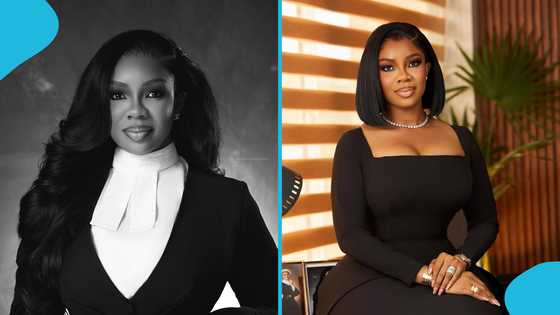 "You're a big fool": Serwaa Amihere blasts X user over fabricated quote, sparking divided opinions