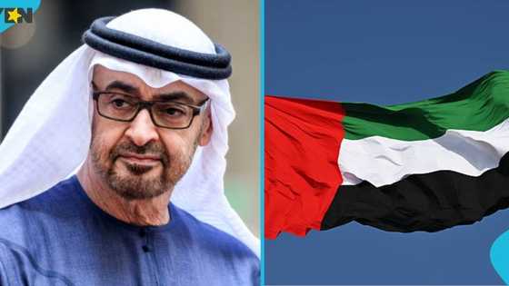 UAE immigration update: 2 reasons foreigners can be deported even with a valid visa
