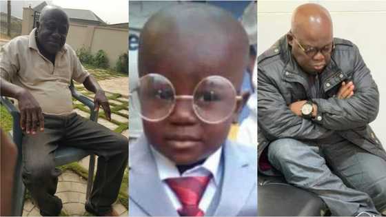 Meet Prez Akufo-Addo lookalikes in 2019 that stirred heavy reactions online