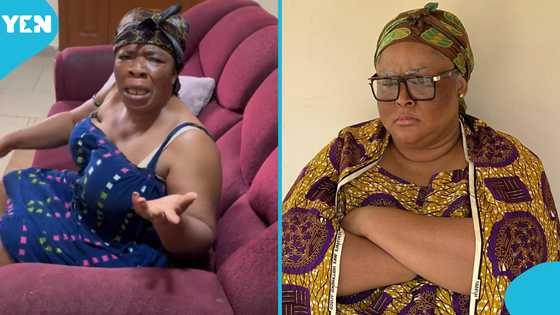 "Vivian Jill Has Suffered For NDC, Allow Her To Enjoy": Mighty Maame