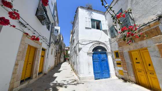 Festivals, guesthouses breathe life back into old Tunis
