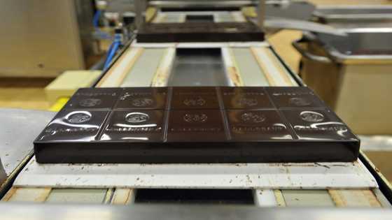 Barry Callebaut wants to tap into vegan power, Asia growth