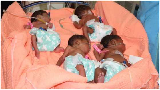 Kwale: 25-Year-old Woman Gives Birth to Quadruplets, Now Mum of 7