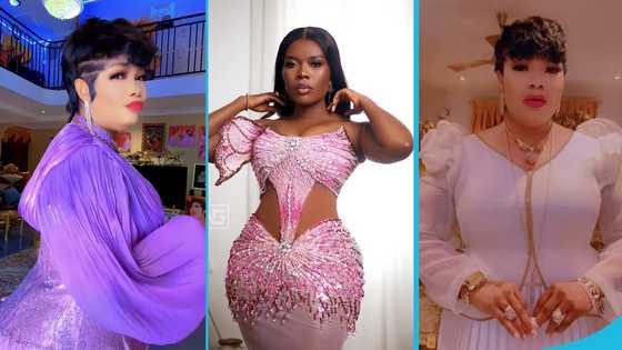 Delay takes over from Agradaa, adopts 'Noko' title, social media post excites Ghanaians