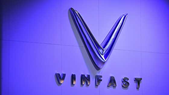 Vinfast plans first EV factory in India