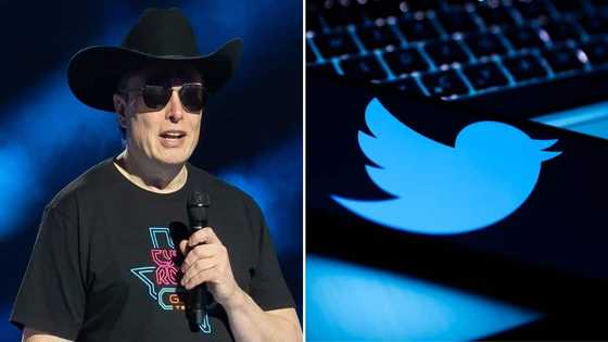 Elon Musk set to buy Twitter for GH₵300 billion, mixed reactions hit social media