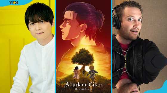 Top 10 Attack on Titan voice actors: Their popularity and roles explained