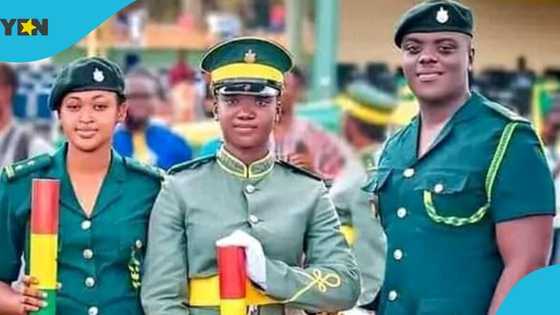 The Ghana Immigration Service warns public against fake recruitment Portal