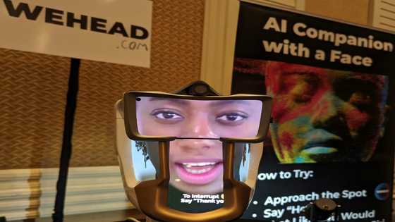 Highlights from CES: Talking heads, airlifts and checkpoints for pets
