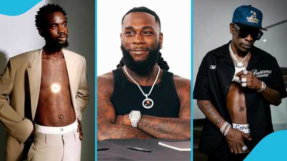 Burna Boy hypes Black Sherif amid feud with Shatta Wale: "Two African beasts"