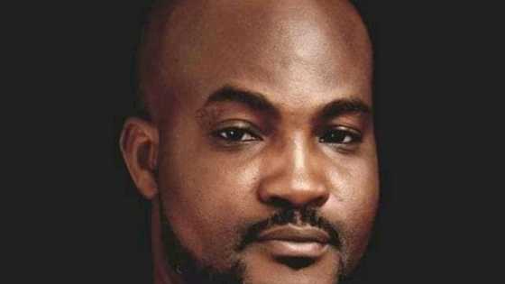 Ho Airport: What Mahama sees sleeping, Akufo-Addo cannot see even when flying - Dzifa Gunu