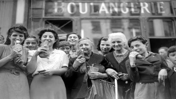 Let them eat bread: the origins of the baguette