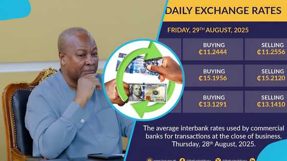 Cedi continues its fall as expert outlines expected rate by year-end