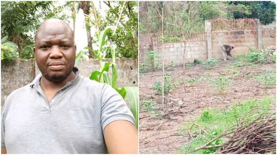 Man protects boss' land after he passed away; gives it to boss' son 30 years later