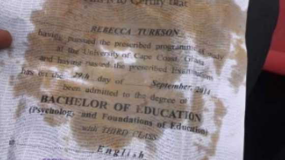 Photocopy of UCC certificate goes viral after stories pop up that it was used to sell khebab