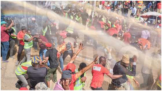Police grab 29 Arise Ghana protesters for attacking, injuring officers