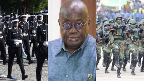 There's no money; stop recruitments - Akufo-Addo directs Ghana Armed Forces, Police, et al