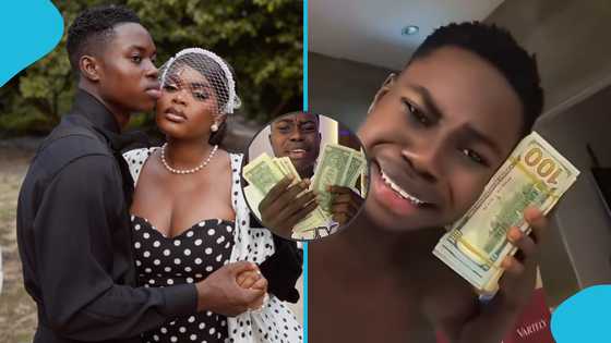 "It's not by force": Bad news hits Peller and Javis days after luxurious wedding, video trends